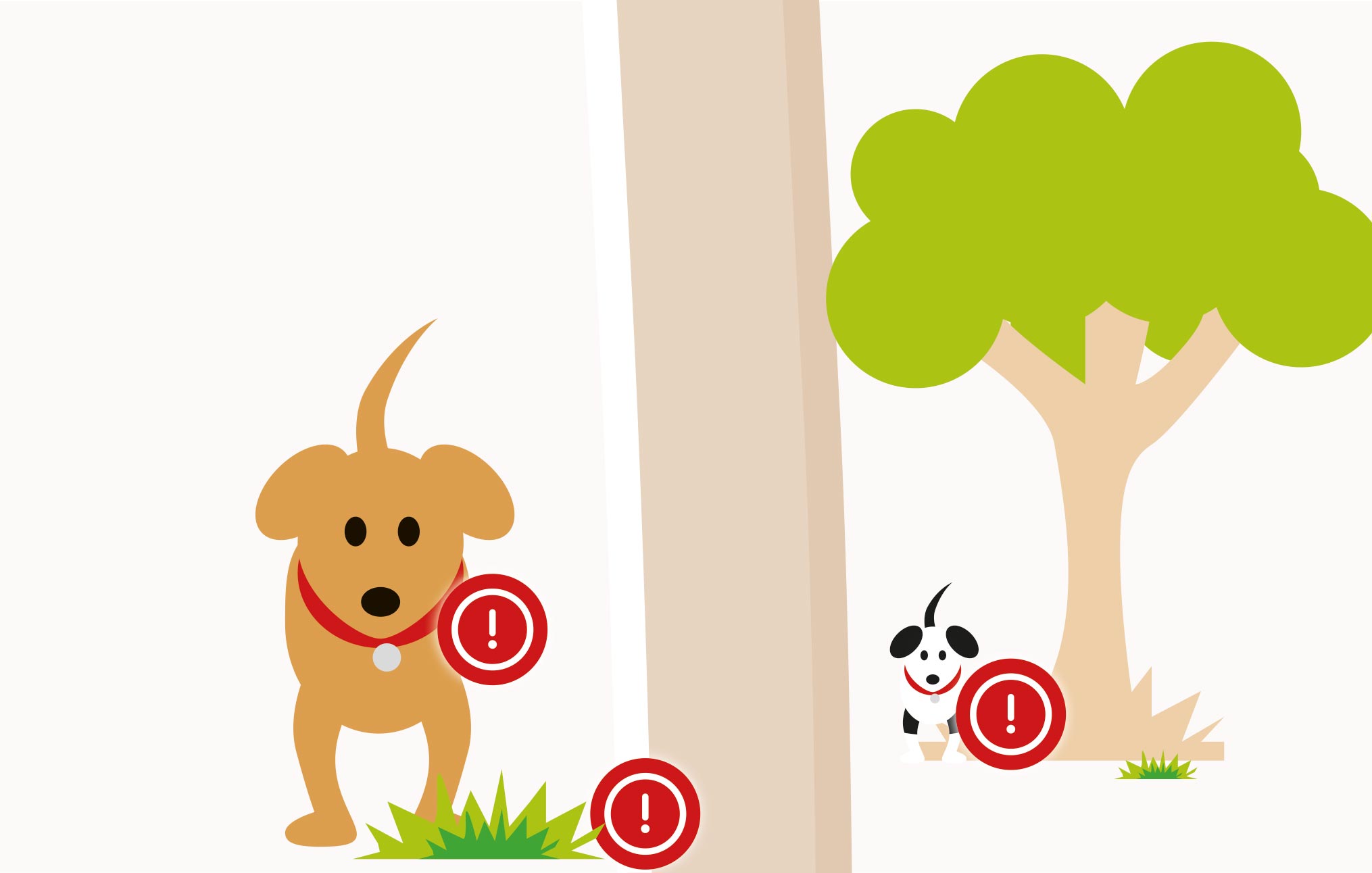 Photo inspiration: Visual Reference: Parasite Risks To Dogs